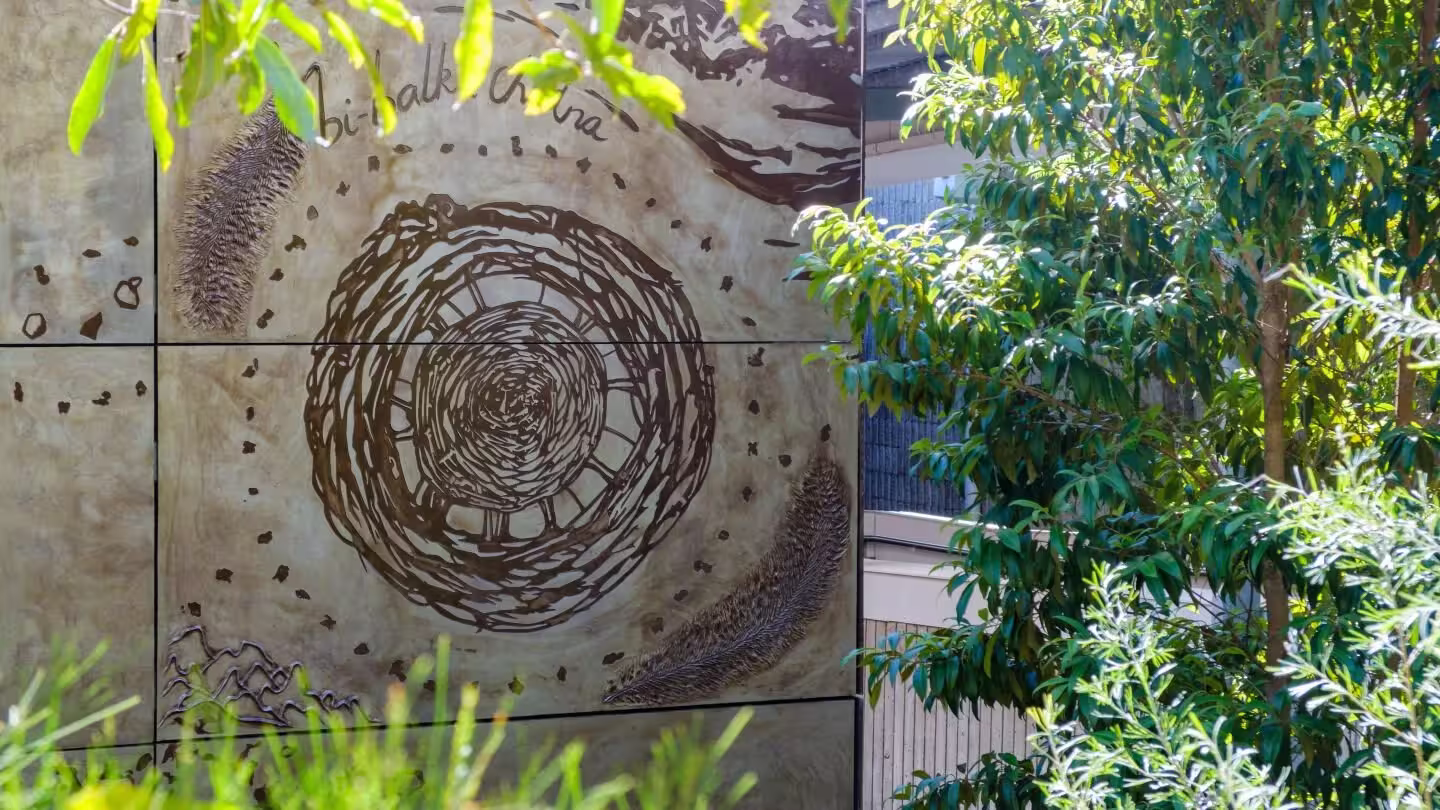 p2750-qut-jody-rallah-230518-rs-18a-jpg