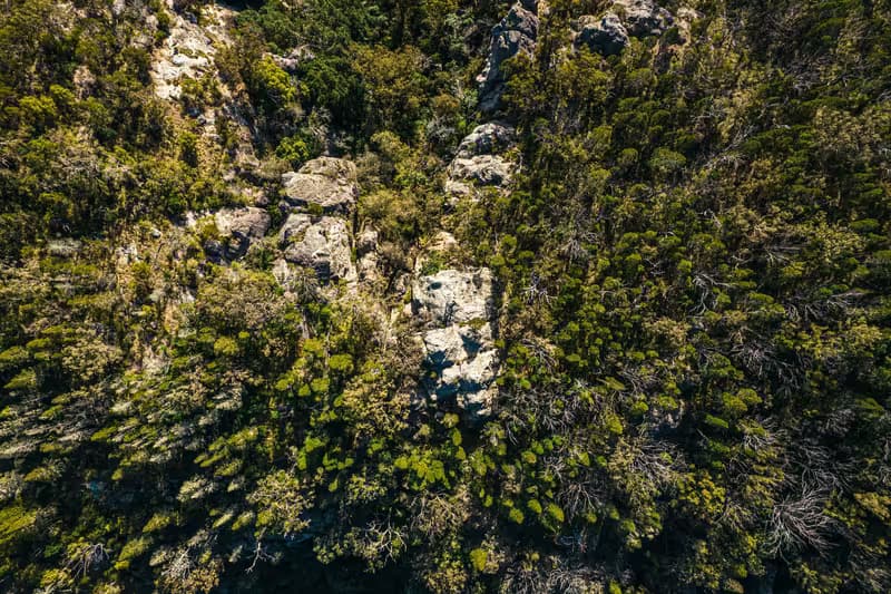 First Nations stories