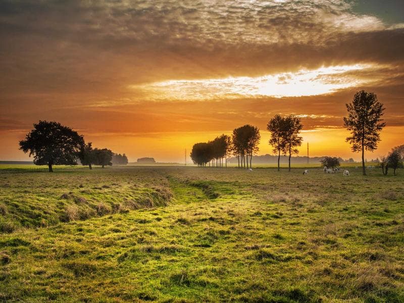 Brisbane based Aboriginal artists