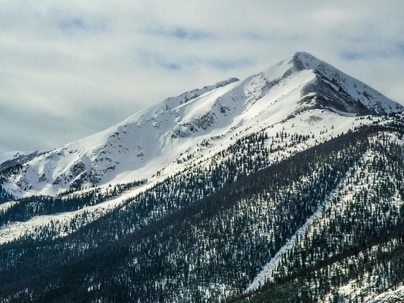 Maiwar: the story of Brisbane River